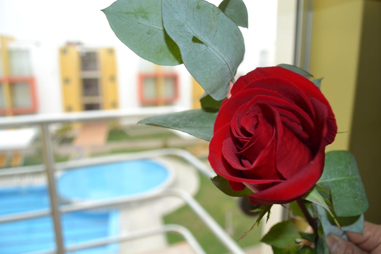 Kajaca Suite Hotel Tomicaya 外观 照片